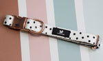 Dotty Dalmation Dog Collar